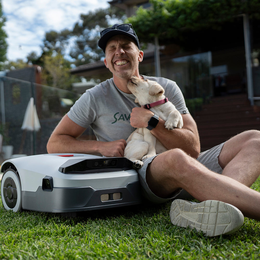 Why Choose a Robot-Lawn-Mower No Wire?