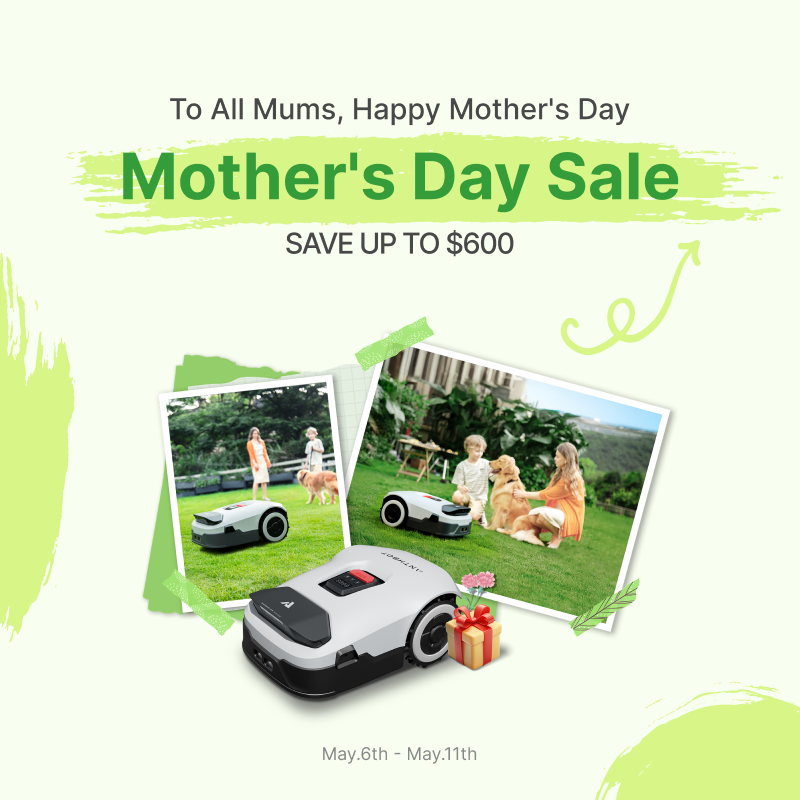 Because Mom Deserves More: ANTHBOT’s Mother’s Day Celebration