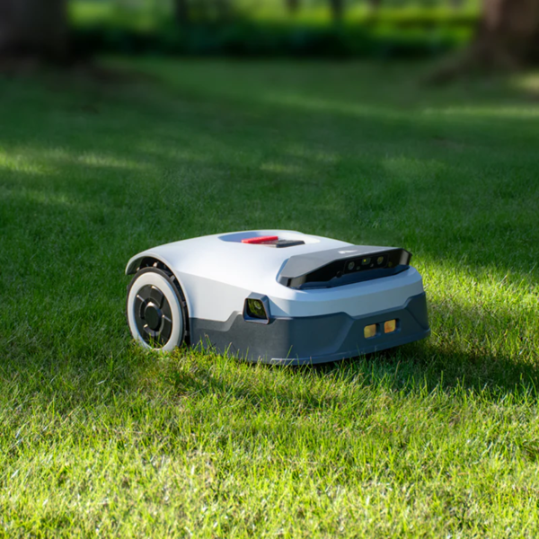 The Art (and Science) of Mowing: Expert Tips for a Lush, Healthy Lawn