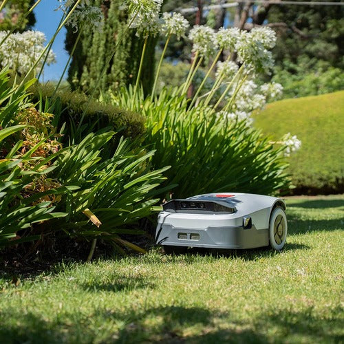 When is the Best Time to Mow Your Lawn?