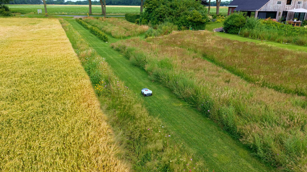 The 6 Best Robotic Lawn Mowers The Spruce Has Tested
