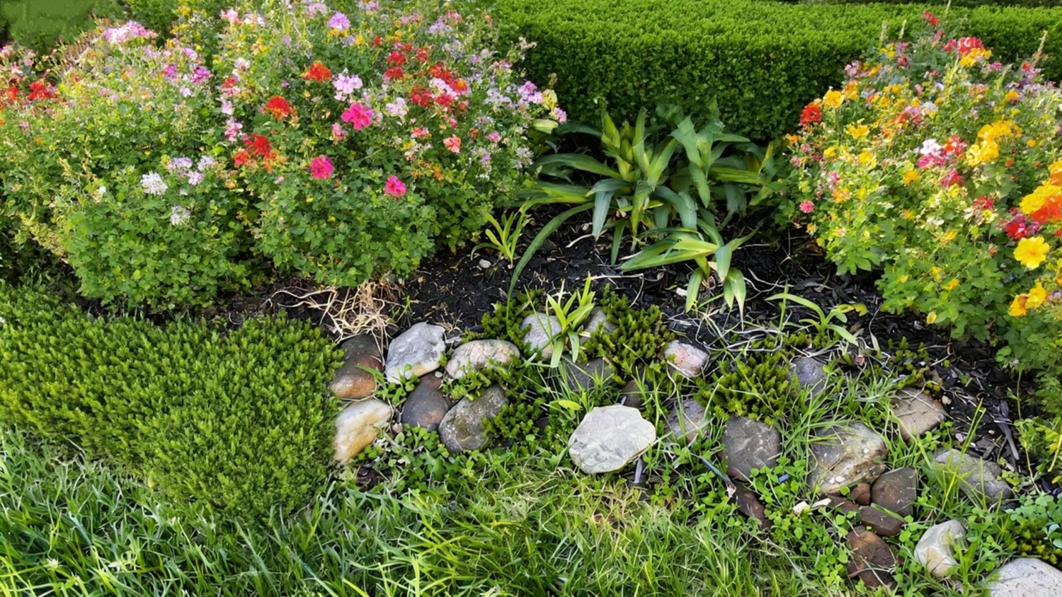 Troubleshoot Messy Lawn Edges