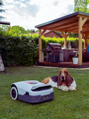anthbot robot lawn mower