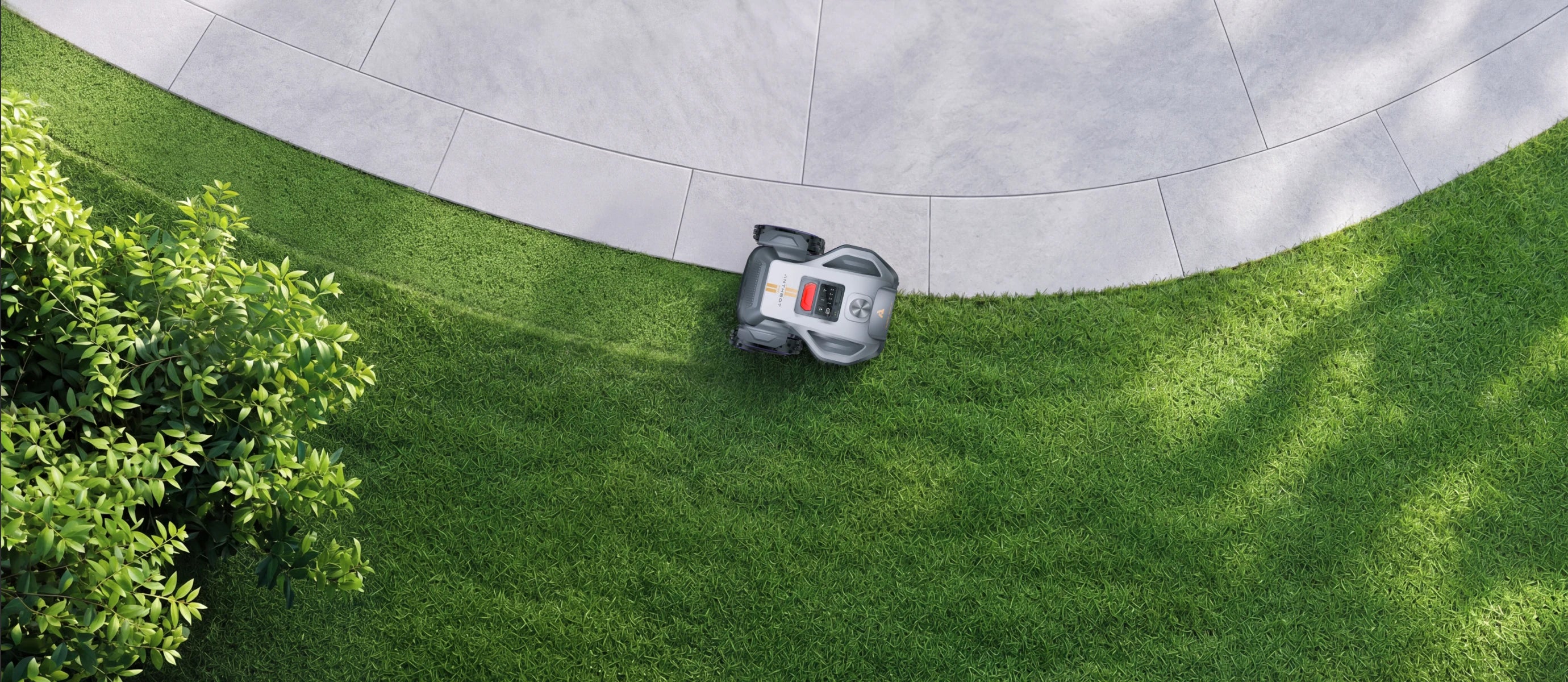 EdgeWiz for Tidy Lawn Edges